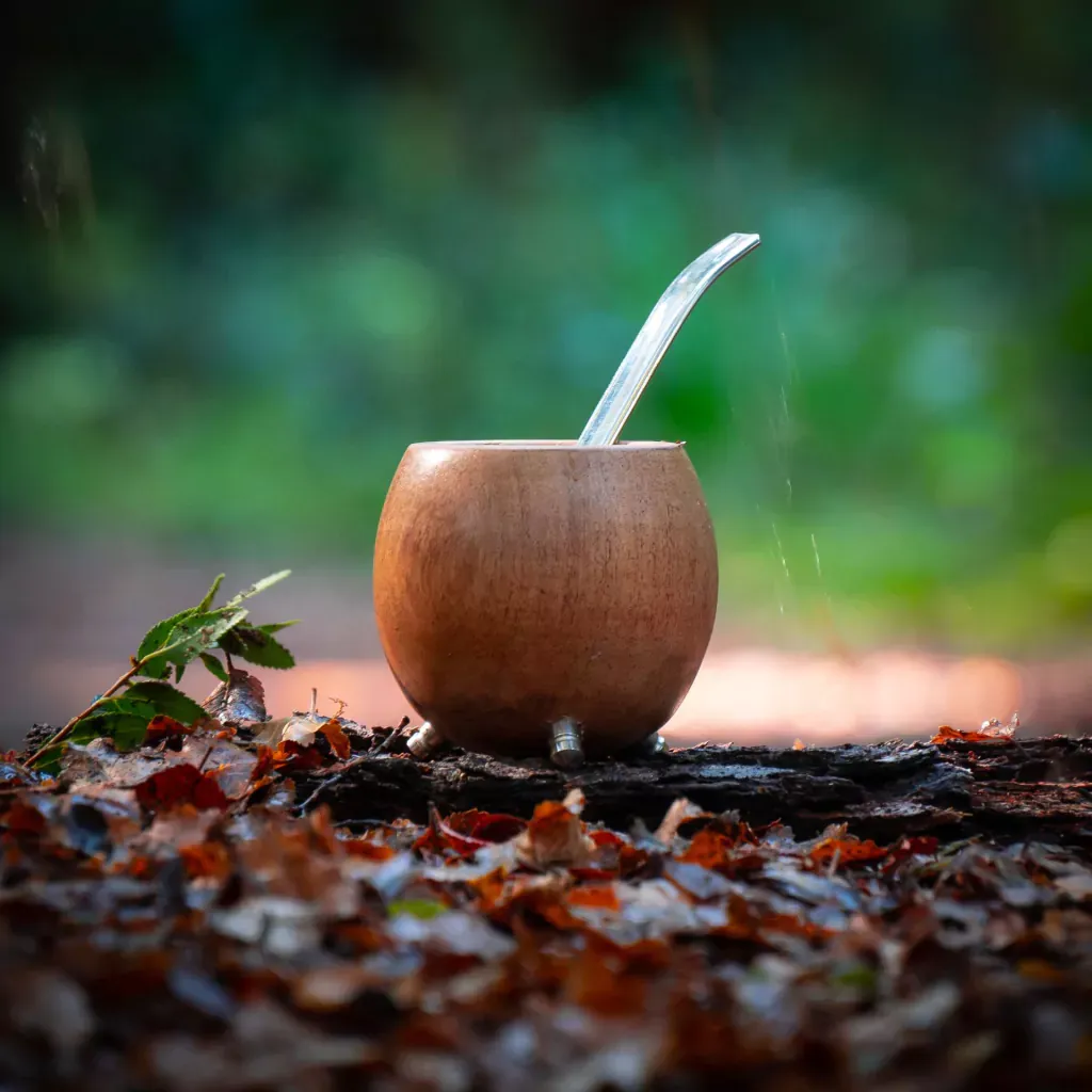Mate Ayari